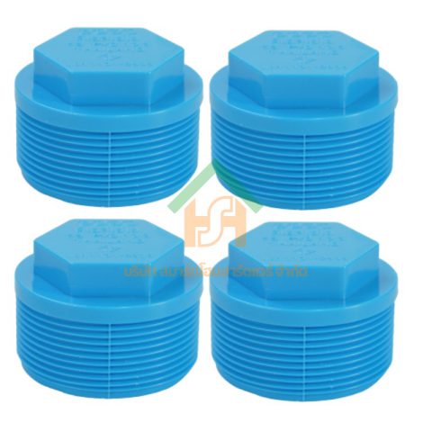 ปลั๊กอุดพีวีซี ปลั๊กอุด พีวีซี ปลั๊กอุดPVC ปลั๊กอุด PVC ขนาด 2" (2 นิ้ว) จำนวน 4 ชิ้น/แพ็ค : ดี.เอส.เอ.ไอ (DSAI) DSAI.SET.103