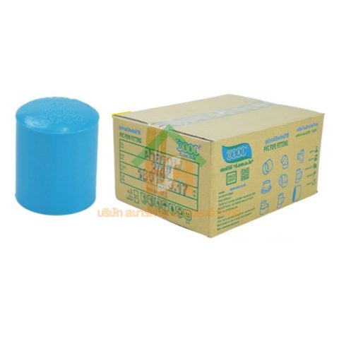 ฝาครอบ พีวีซี ฝาครอบพีวีซี ฝาครอบ PVC ฝาครอบPVC ขนาด 3/4" (6 หุน) : ดี.เอส.เอ.ไอ (DSAI) DSAI082